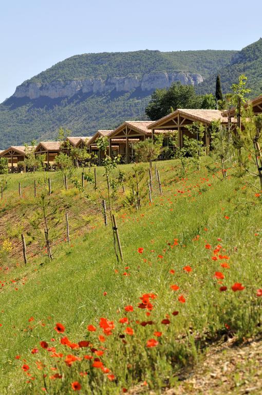 Domaine Saint Esteve Millau Quarto foto